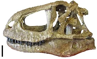 อาเบลิซอรัส (Abelisaurus)