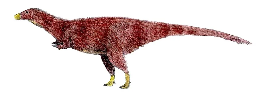 อาคิลเลซอรัส (Achillesaurus)