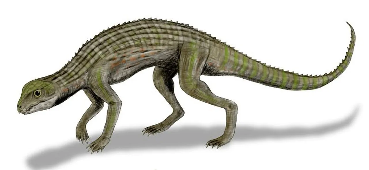 อะดาแมนตินาซูคัส (Adamantinasuchus)