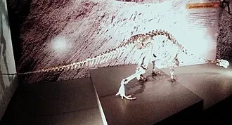 อะดีโอแพปโปซอรัส (Adeopapposaurus)