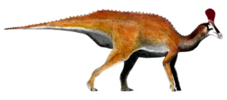 อะดินโนโมซอรัส (Adynomosaurus)