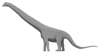 อีโอโลซอรัส (Aeolosaurus)