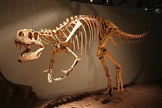 แอโฟรวีเนเตอร์ (Afrovenator)