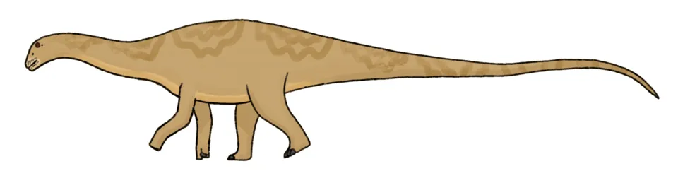 อากุสติเนีย (Agustinia)