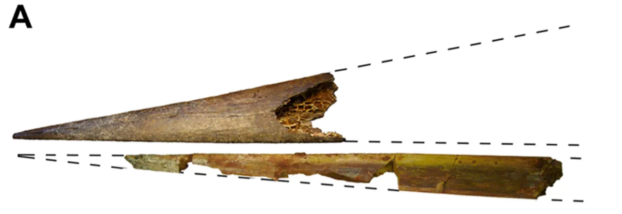 อาลันกา (Alanqa)
