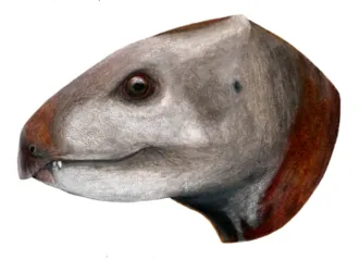 อัลบาโลโฟซอรัส (Albalophosaurus)