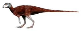 อัลเบอร์ตาโดรเมอุส (Albertadromeus)