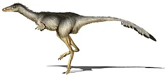 อัลเบอร์โทนีคัส (Albertonykus)