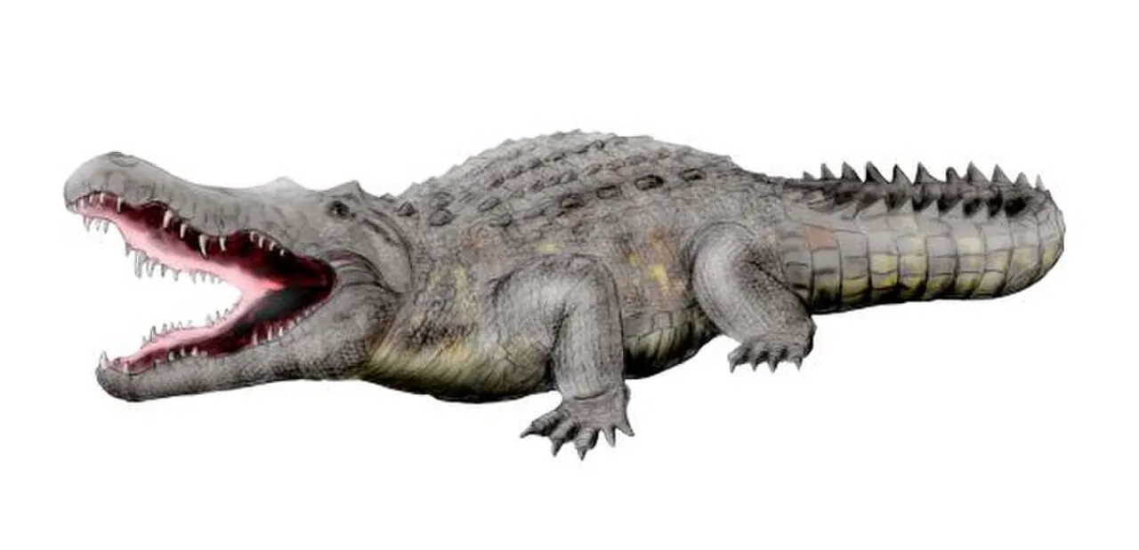 อัลเบอร์โตซูคัส (Albertosuchus)