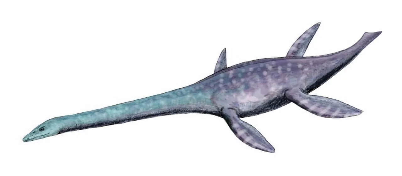 อเล็กเซย์ซอรัส (Alexeyisaurus)