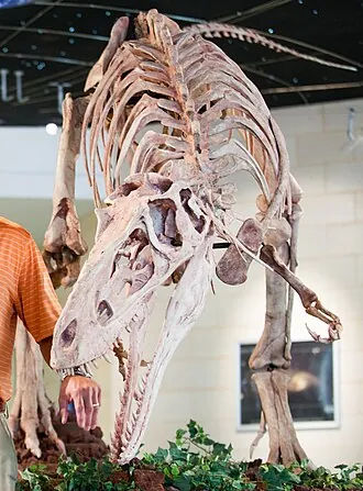 อาลิโอรามัส (Alioramus)