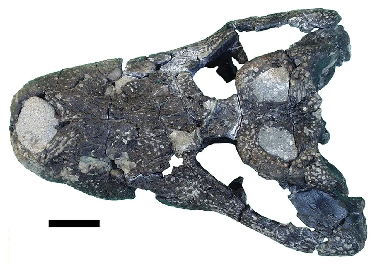 อัลโลดาโปซูคัส (Allodaposuchus)