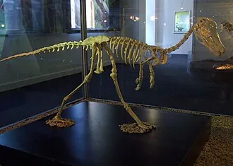 อัลวาเรซซอรัส (Alvarezsaurus)
