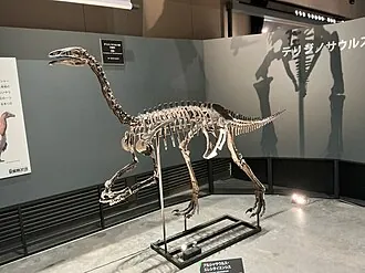อัลกซาซอรัส (Alxasaurus)