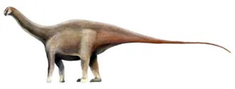 อะมาโซนซอรัส (Amazonsaurus)