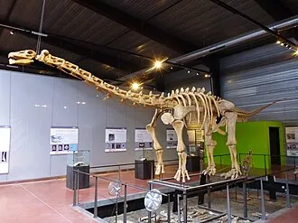 แอมเปโลซอรัส (Ampelosaurus)