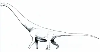 แอนดิซอรัส (Andesaurus)