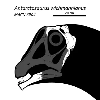 แอนทาร์กโตซอรัส (Antarctosaurus)