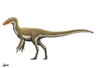 เอารุน (Aorun)