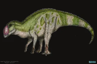 อควิลาร์ไรนัส (Aquilarhinus)