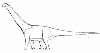 อาราโกซอรัส (Aragosaurus)