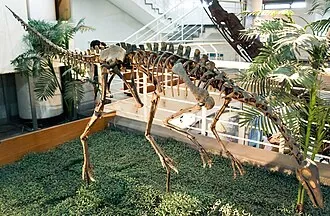 อาร์คีโอออร์นิโธมิมุส (Archaeornithomimus)