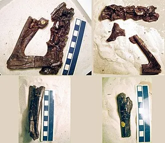 อาริสโตซูคัส (Aristosuchus)