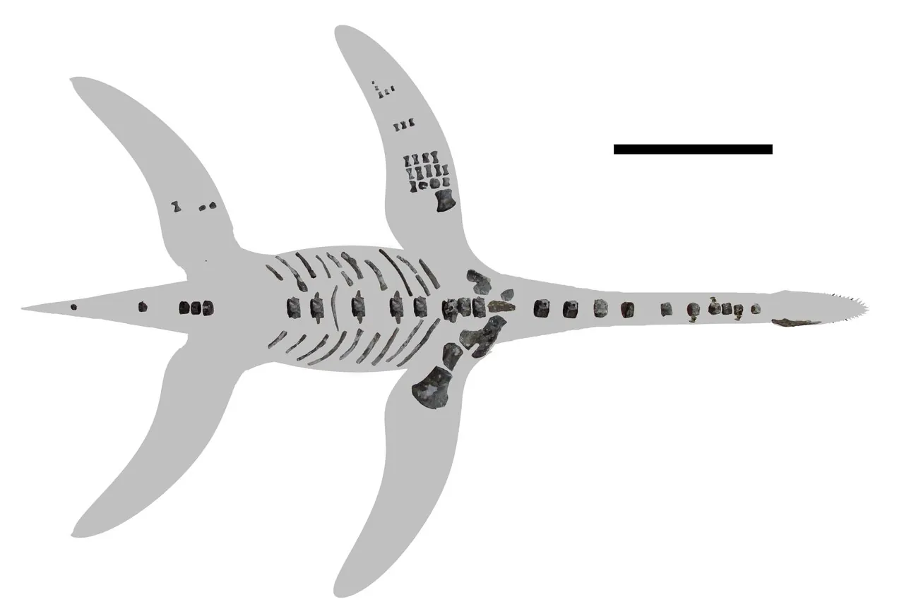 อาร์มินิซอรัส (Arminisaurus)