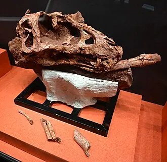 อาเซียไทรันนัส (Asiatyrannus)