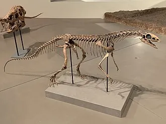 อะซิลิซอรัส (Asilisaurus)