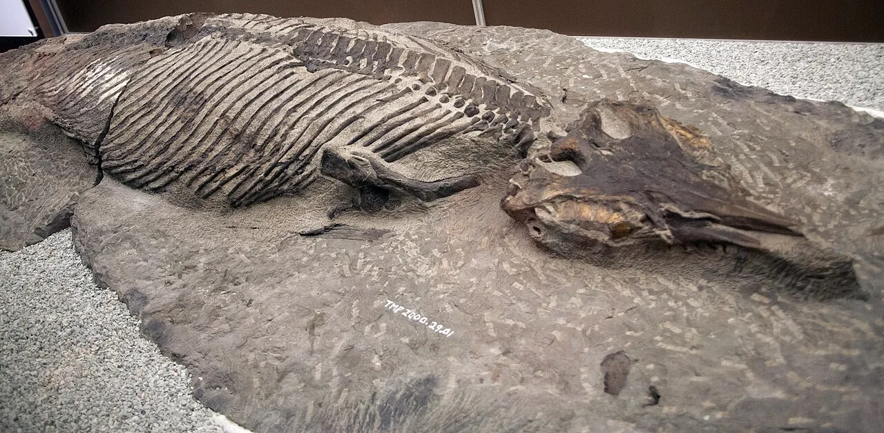 อะทาบาสคาซอรัส (Athabascasaurus)