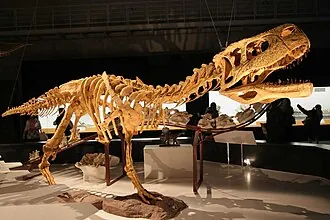ออกาซอรัส (Aucasaurus)