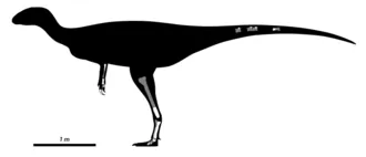 ออสโตรไครัส (Austrocheirus)