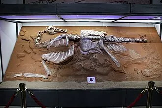 แบคทรโซซอรัส (Bactrosaurus)