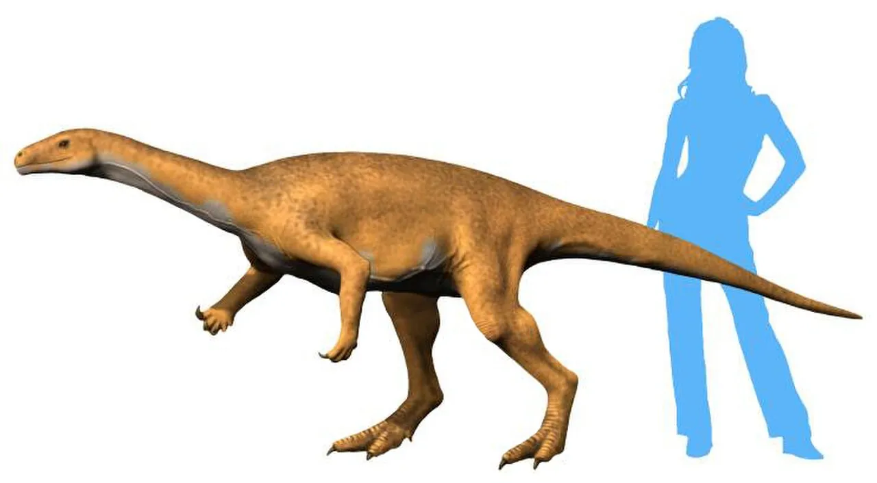 บากวาโลซอรัส (Bagualosaurus)