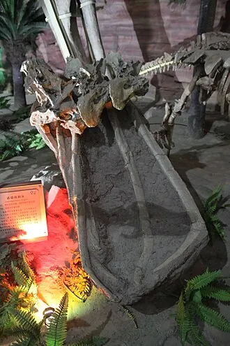 เป่าเทียนมันซอรัส (Baotianmansaurus)