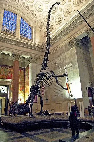 บารอซอรัส (Barosaurus)