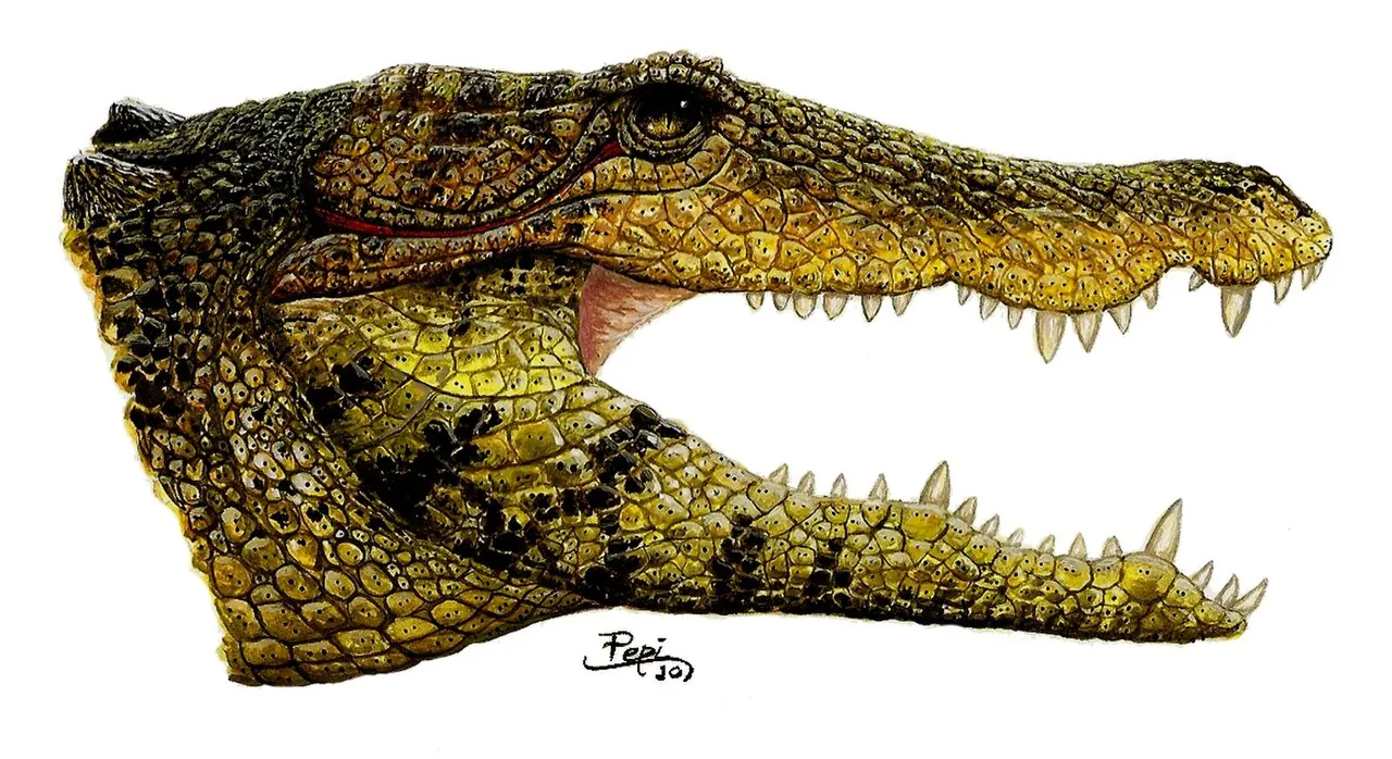 บาร์เรย์โรซูคัส (Barreirosuchus)