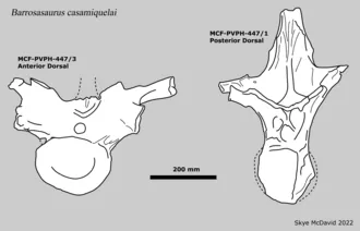 บาร์โรซาซอรัส (Barrosasaurus)