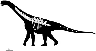 บิชาร์ราโคซอรัส (Bicharracosaurus)