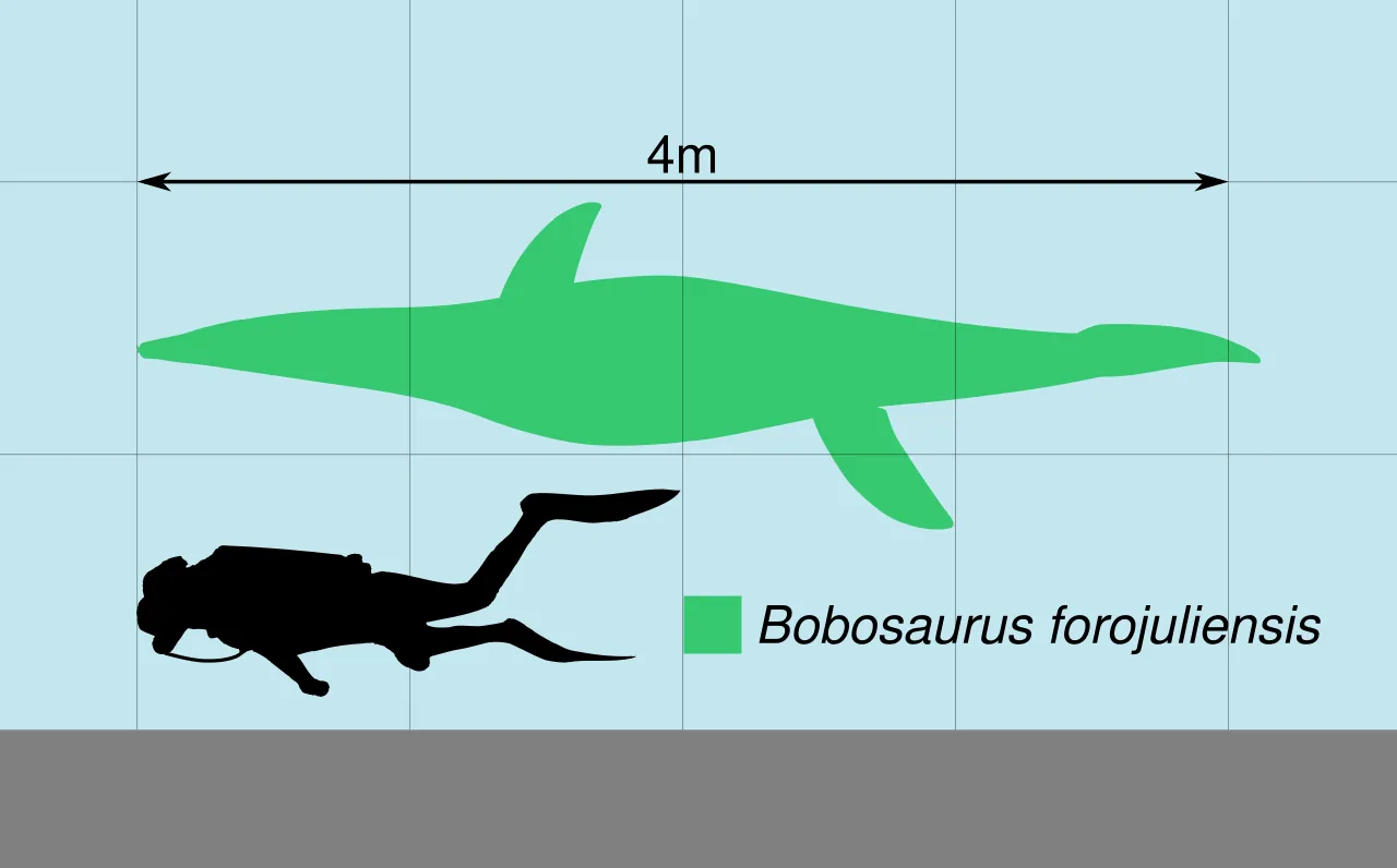 โบโบซอรัส (Bobosaurus)