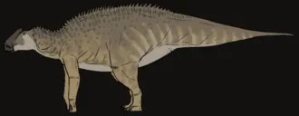โบนาปาร์เตซอรัส (Bonapartesaurus)