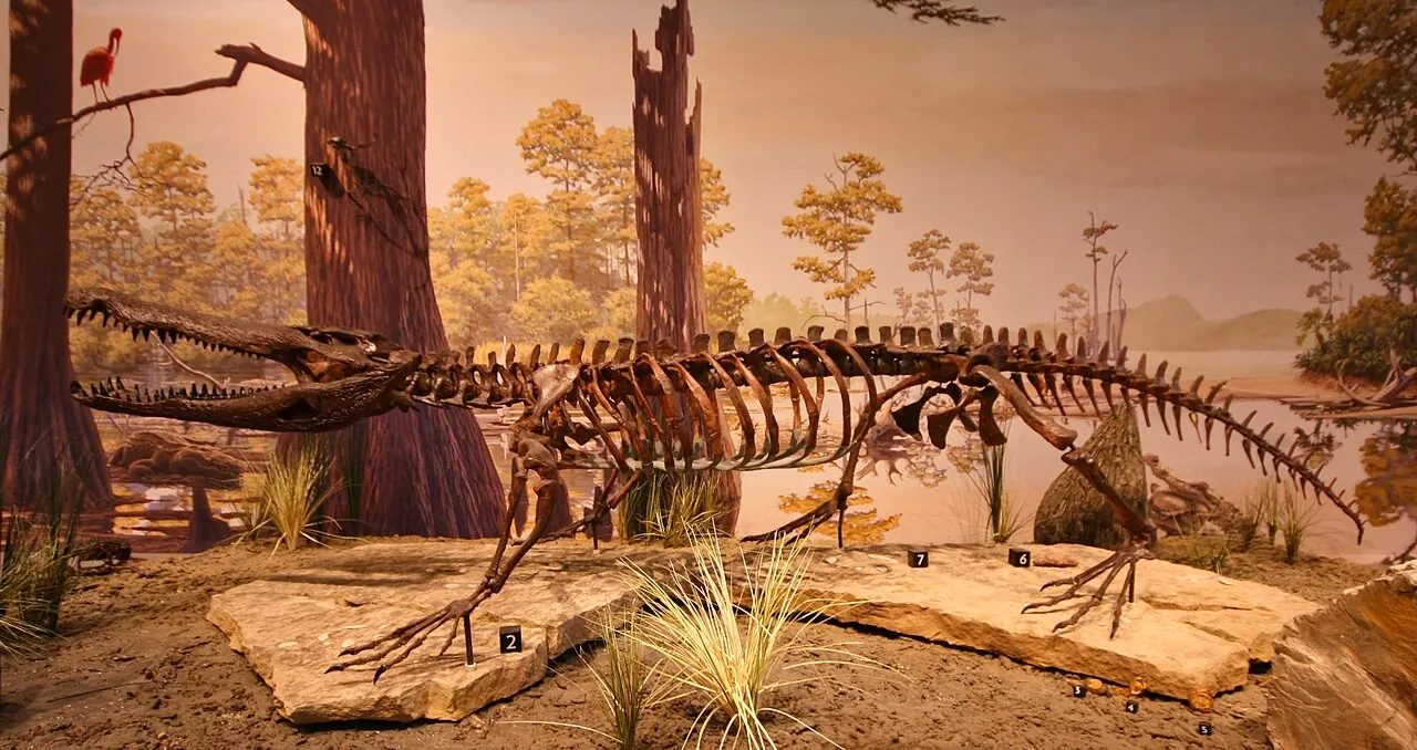โบเรียโลซูคัส (Borealosuchus)