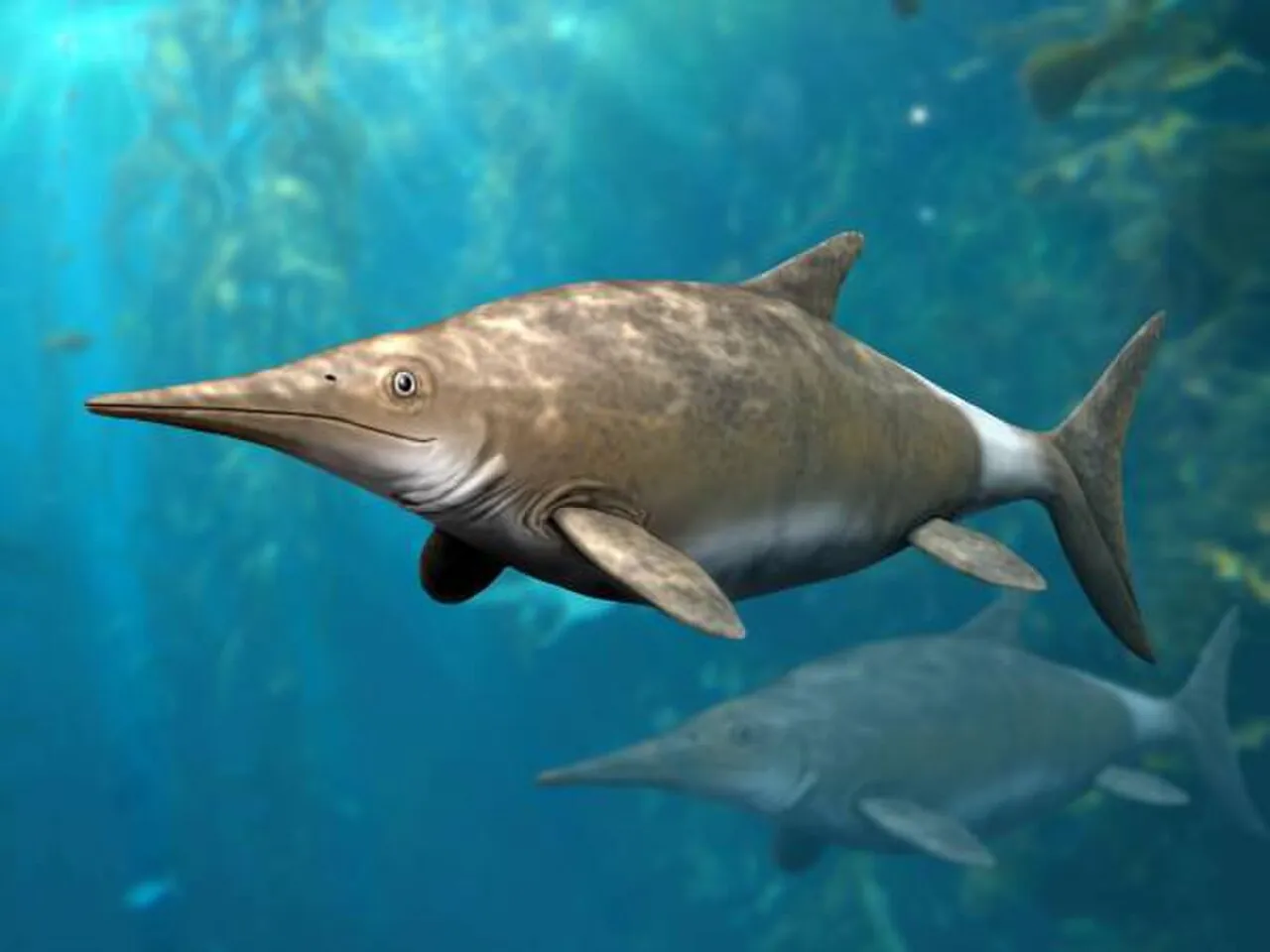 บราคิปเทอรีกิอุส (Brachypterygius)