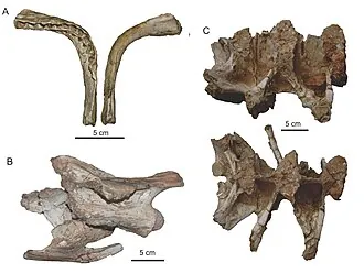 บราซิโลไททัน (Brasilotitan)