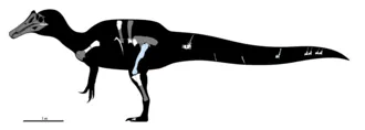 คามาริลลาซอรัส (Camarillasaurus)