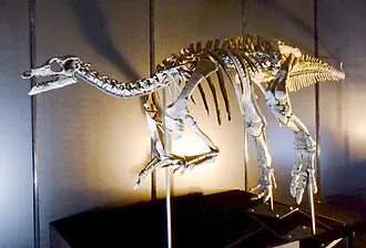 แคมป์โทซอรัส (Camptosaurus)