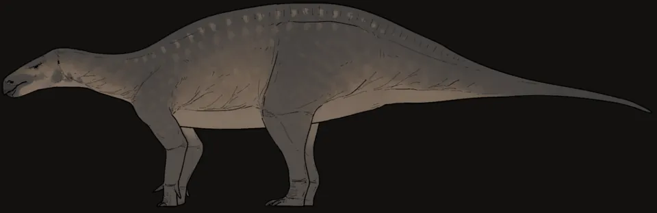 คาริโอเซกุส (Cariocecus)
