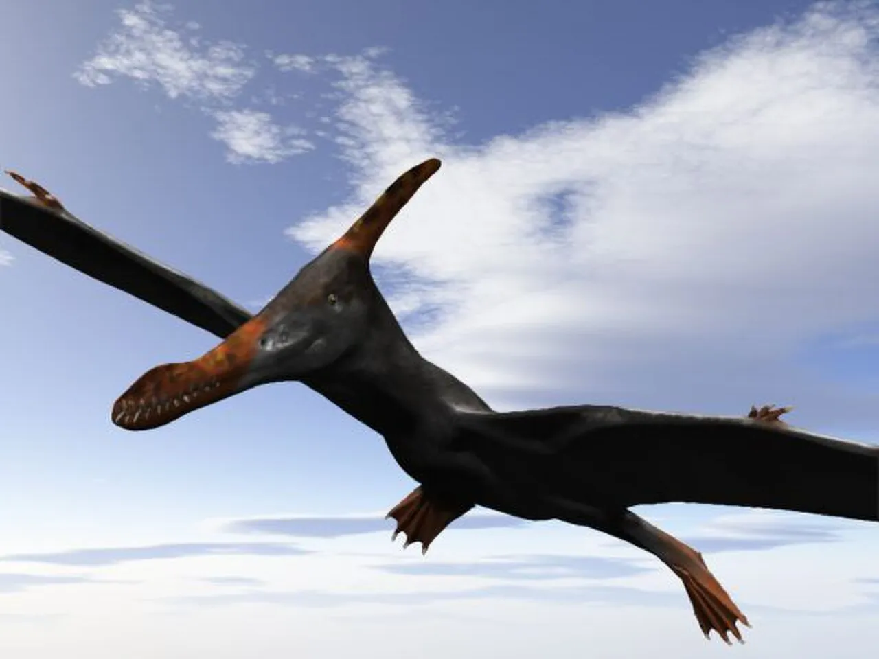 คอลคิเซฟาลัส (Caulkicephalus)