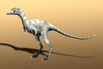 เซราโทนีคัส (Ceratonykus)